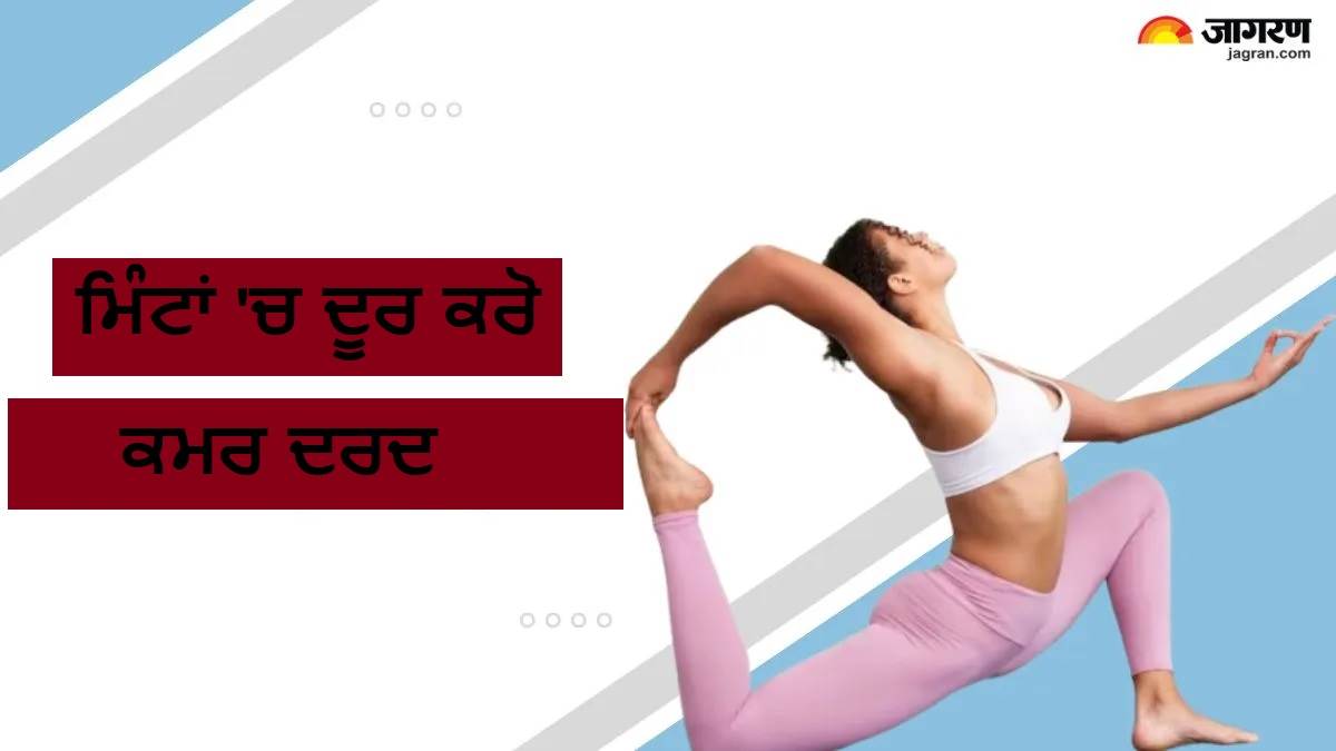 ਮਿੰਟਾਂ 'ਚ ਕਮਰ ਦਾ ਦਰਦ ਕਰੋ ਦੂਰ, ਬੁਢਾਪੇ ਤੱਕ ਰੀੜ ਦੀ ਹੱਡੀ ਸਿੱਧੀ ਰੱਖਣ ਲਈ ਰੋਜ਼ਾਨਾ ਕਰੋ ਇਹ 5 ਯੋਗ ਆਸਣ