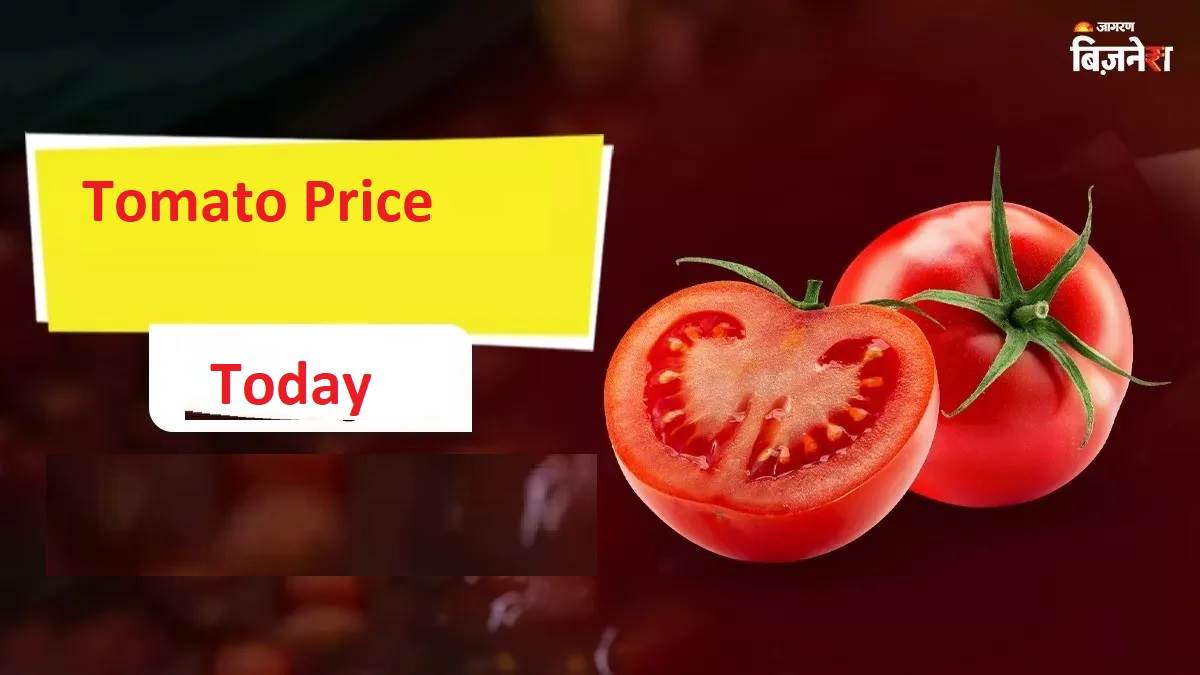 Tomato Price Hike : ਟਮਾਟਰ ਨੇ ਵਿਗਾੜਿਆ ਰਸੋਈ ਦਾ ਸੁਆਦ, 15 ਦਿਨਾਂ 'ਚ 112% ਹੋਇਆ ਮਹਿੰਗਾ; ਅਚਾਨਕ ਕਿਉਂ ਵਧੀਆਂ ਕੀਮਤਾਂ ?