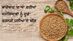 Vastu Upay : ਕੀ ਦੁਕਾਨ ਜਾਂ ਕਾਰੋਬਾਰ 'ਚ ਆ ਰਹੀਆਂ ਹਨ ਸਮੱਸਿਆਵਾਂ? ਧਨੀਆ ਦੇ ਬੀਜ ਕਰ ਸਕਦੇ ਹਨ ਤੁਹਾਡੀ ਦਿੱਕਤਾਂ ਨੂੰ ਹੱਲ