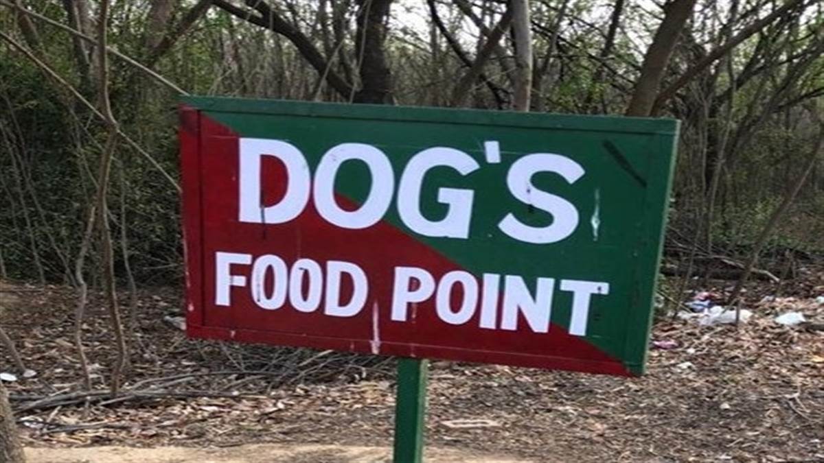 ਸੁਪਰੀਮ ਕੋਰਟ ਦੇ ਹੁਕਮਾਂ ਮਗਰੋਂ ਨਿਗਮ ਸਰਗਰਮ, ਬਠਿੰਡਾ 'ਚ ਬਣਨਗੇ ਤੈਅਸ਼ੁਦਾ ‘ਡਾਗ ਫੀਡਿੰਗ ਪੁਆਇੰਟ’; ਜਲਦ ਸ਼ੁਰੂ ਹੋਵੇਗੀ ਟੋਲ-ਫ੍ਰੀ ਹੈਲਪਲਾਈਨ