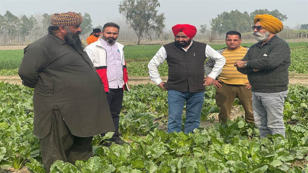 ਗੰਨੇ ਦੀ ਬਹਾਰ ਰੁੱਤਦੀ ਫ਼ਸਲ ਤੋਂ ਵਧੇਰੇ ਆਮਦਨ ਲੈਣ ਲਈ ,ਅੰਤਰ ਫ਼ਸਲੀ ਪ੍ਰਣਾਲੀ ਅਪਣਾਉਣ ਦੀ ਜ਼ਰੂਰਤ : ਕੇਨ ਕਮਿਸ਼ਨਰ