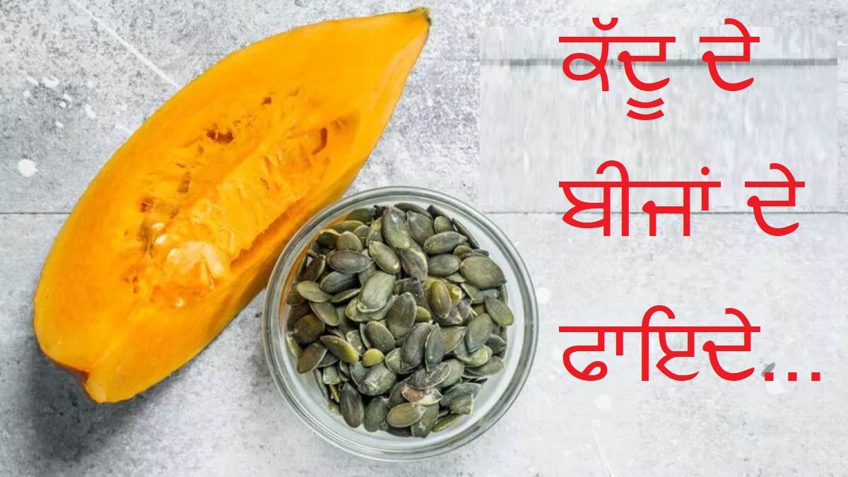 Pumpkin Seeds Benefits : ਰੋਜ਼ਾਨਾ 2 ਚਮਚ ਖਾਓ ਕੱਦੂ ਦੇ ਬੀਜ ਤੇ ਦਿਲ ਤੋਂ ਲੈ ਕੇ ਵਾਲਾਂ ਤੱਕ ਹਰ ਚੀਜ਼ ਨੂੰ ਰੱਖੋ ਨੌ-ਬਰ-ਨੌ