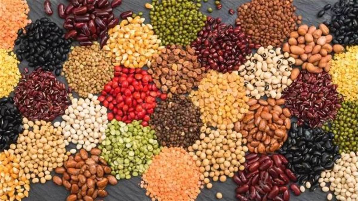 Pulse Prices Fall : ਆਮ ਲੋਕਾਂ ਨੂੰ ਰਾਹਤ ਪਰ ਕਿਸਾਨ ਚਿੰਤਤ, ਦਾਲਾਂ ਦੀਆਂ ਕੀਮਤਾਂ 'ਚ ਗਿਰਾਵਟ; ਜਾਣੋ ਕੀ ਹੈ ਮਾਮਲਾ