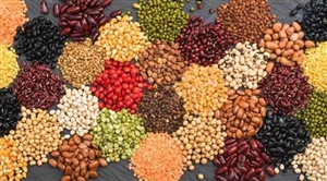 Pulse Prices Fall : ਆਮ ਲੋਕਾਂ ਨੂੰ ਰਾਹਤ ਪਰ ਕਿਸਾਨ ਚਿੰਤਤ, ਦਾਲਾਂ ਦੀਆਂ ਕੀਮਤਾਂ 'ਚ ਗਿਰਾਵਟ; ਜਾਣੋ ਕੀ ਹੈ ਮਾਮਲਾ