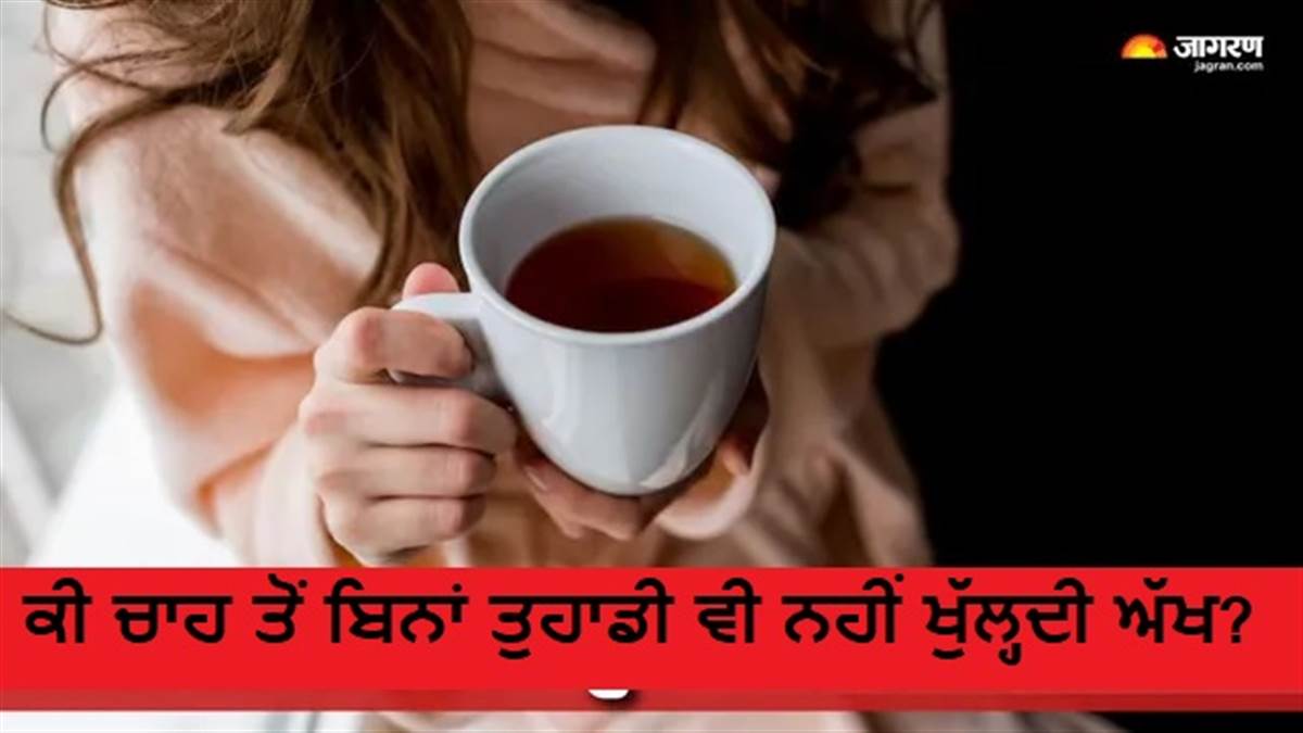 ਕੀ ਚਾਹ ਤੋਂ ਬਿਨਾਂ ਤੁਹਾਡੀ ਵੀ ਨਹੀਂ ਖੁੱਲ੍ਹਦੀ ਅੱਖ? ਪੜ੍ਹੋ ਚਾਹ ਦੇ ਕੱਪ ਤੇ ਤੁਹਾਡੇ ਦਿਮਾਗ ਵਿਚਾਲੇ ਕੀ ਹੈ 'ਖ਼ਾਸ ਕੁਨੈਕਸ਼ਨ'