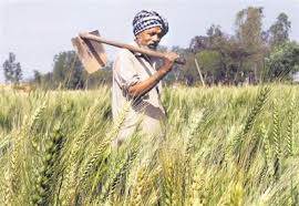Bathinda News: ਕਈ ਪਿੰਡਾਂ ਦੇ ਕਿਸਾਨਾਂ ਨੇ ਚੋਰਾਂ ਨੂੰ ਕੀਤੀ ਭਾਵੁਕ ਅਪੀਲ, ਕਿਹਾ- ਮਹੀਨਾ ਵਸੂਲ ਲਵੋਂ, ਪਰ ਖੇਤਾਂ ’ਚ ਚੋਰੀ ਨਾ ਕਰੋ