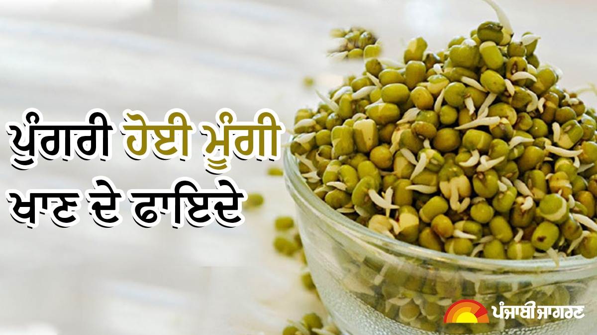 Benefits of Moong Sprouts : ਵਜ਼ਨ ਘਟਾਉਣ ਤੋਂ ਲੈ ਕੇ ਪਾਚਣ 'ਚ ਸੁਧਾਰ ਕਰਨ ਤਕ, ਪੁੰਗਰੀ ਹੋਈ ਮੂੰਗੀ ਖਾਣ ਨਾਲ ਮਿਲਦੇ ਹਨ ਕਈ ਫਾਇਦੇ