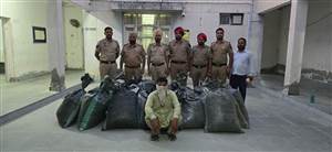 4 ਕੁਇੰਟਲ ਭੁੱਕੀ ਚੂਰਾ-ਪੋਸਤ ਸਮੇਤ ਇਕ ਵਿਅਕਤੀ ਕਾਬੂ
