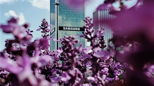 Samsung Sale 2022:ਸੈਮਸੰਗ ਗਲੈਕਸੀ ਫੋਨਜ਼, ਟੈਬਲੇਟਜ਼ ਅਤੇ ਵੀਅਰੇਬਲ 'ਤੇ ਮਿਲ ਰਹੀ ਹੈ ਬੰਪਰ ਛੋਟ, ਜਾਣੋ ਕਿੰਨਾ ਮਿਲੇਗਾ ਡਿਸਕਾਊਂਟ