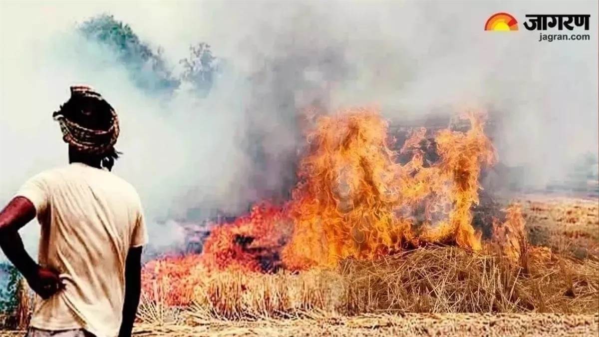 Stubble Burning: ਪ੍ਰਦੂਸ਼ਣ ਦੀ ਦੋਹਰੀ ਮਾਰ, ਪਟਾਕਿਆਂ ਦੀ ਆੜ 'ਚ ਖੂਬ ਜਲੀ ਪਰਾਲੀ, ਪੰਜਾਬ 'ਚ ਟੁੱਟੇ ਸਾਰੇ ਰਿਕਾਰਡ
