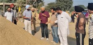 ਐਸਡੀਐਮ ਬੈਂਸ ਵੱਲੋਂ ਦਾਣਾ ਮੰਡੀ ਬੇਲਾ ਦਾ ਅਚਨਚੇਤ ਦੌਰਾ