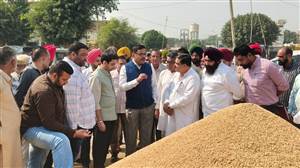 ਝੋਨੇ ਦੀ ਖ਼ਰੀਦ ਨੂੰ ਲੈ ਕੇ ਪ੍ਰਸ਼ਾਸਨ ਸਖ਼ਤ : ACSDK ਤਿਵਾੜੀ ਨੇ ਮੋਗਾ ਮੰਡੀਆਂ ਦਾ ਲਿਆ ਜਾਇਜ਼ਾ, ਕਿਸਾਨਾਂ ਨੂੰ ਸਮੇਂ ਸਿਰ ਮਿਲੇਗੀ ਅਦਾਇਗੀ