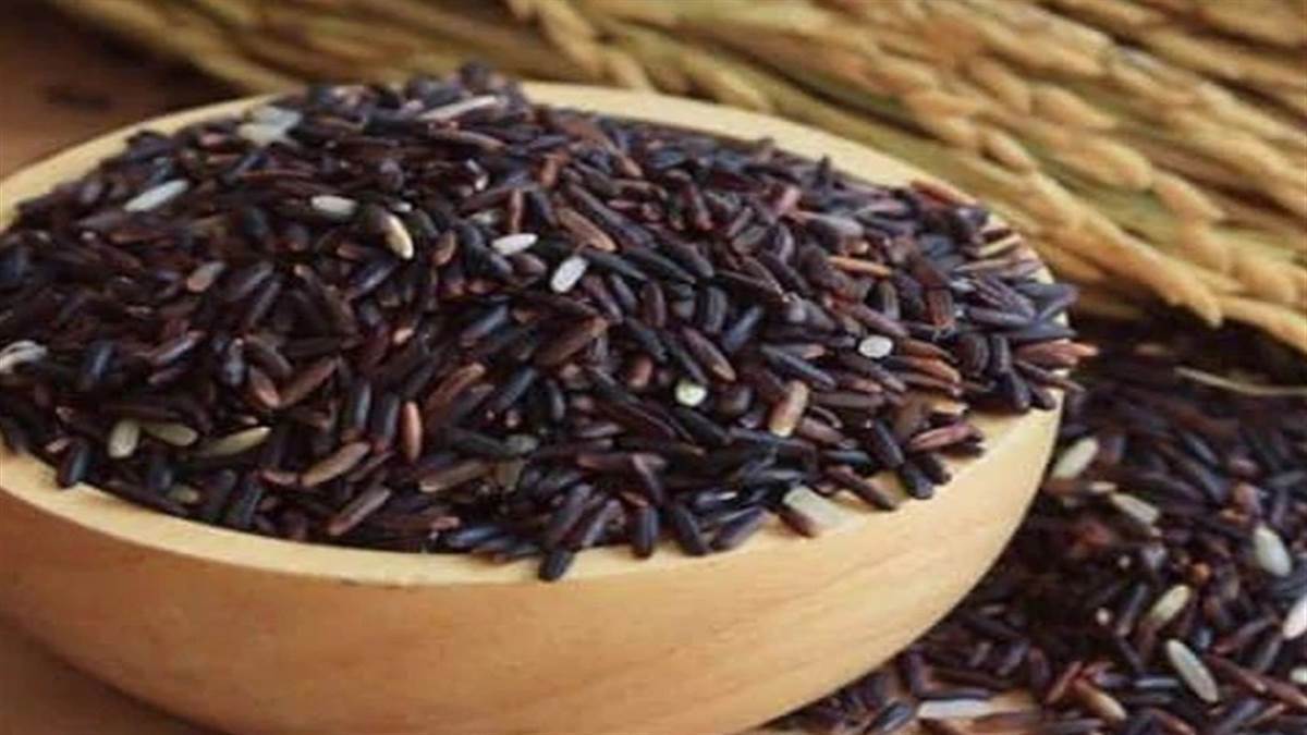 spiritual vidhi upaaye black rice remedies try this miraculous remedy of black rice every obstacle related to job will be removed