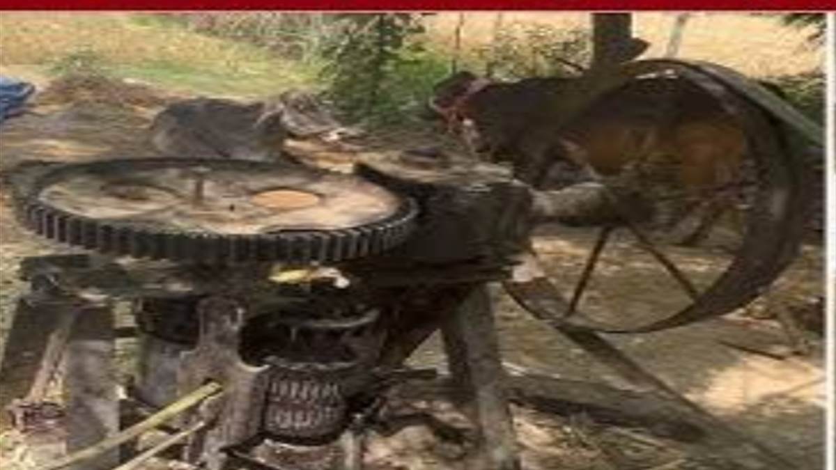 ਗੁੜ ਪਰੰਪਰਾਵਾਂ ਦਾ ਮਿੱਠਾ ਸੁਆਦ ਤੇ ਸਿਹਤ ਦਾ ਖਜ਼ਾਨਾ