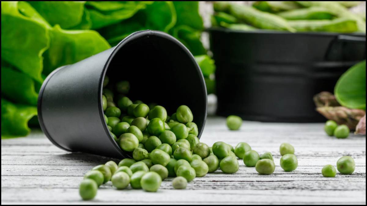 side effects of peas eating too much green peas is injurious to health