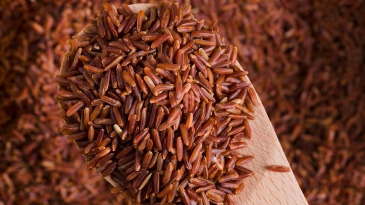 Ran Rice Brown Rice Benefits : ਬਲੱਡ ਸ਼ੂਗਰ ਤੋਂ ਲੈ ਕੇ ਕੈਂਸਰ ਤੋਂ ਬਚਾਅ ਕਰਨ ਤਕ ...