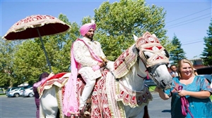ਰੀਤੀ-ਰਿਵਾਜ਼ਾਂ ਦਾ ਮਰਦ ਪੱਖੀ ਮੁਹਾਂਦਰਾ