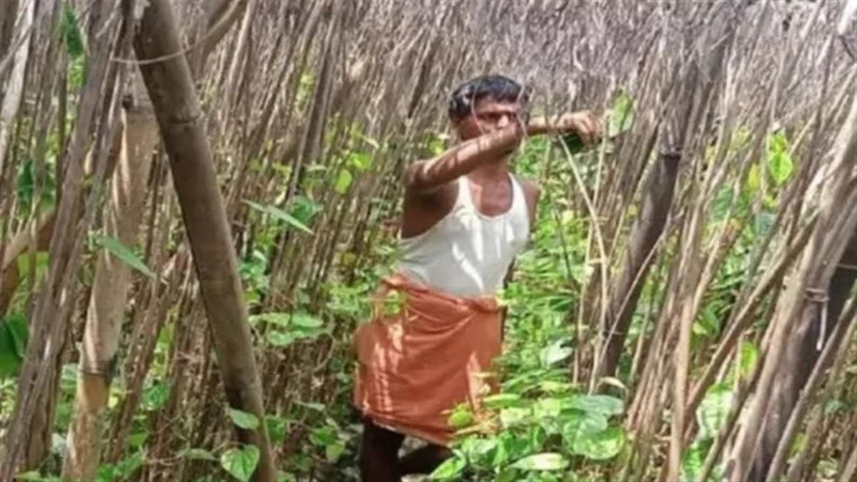 PM Kisan ਤੋਂ ਬਾਅਦ ਹੁਣ 11,750 ਰੁਪਏ ਗ੍ਰਾਂਟ ਪਾਉਣ ਦਾ ਮੌਕਾ, ਪਾਨ ਦੀ ਖੇਤੀ ਲਈ ਅਰਜ਼ੀਆਂ ਸ਼ੁਰੂ