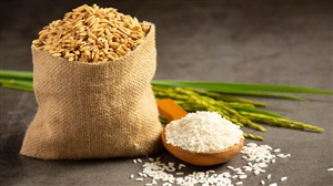 White Rice Healthy Options:  ਸਫੇਦ ਚੌਲਾਂ ਦੀ ਬਜਾਏ ਵਰਤੋ ਇਹ ਸਿਹਤਮੰਦ ਬਦਲ, ਕਦੇ ਨਹੀਂ ਵਧੇਗਾ ਮੋਟਾਪਾ
