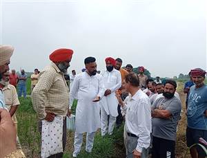 ਛੱਪੜ 'ਚੋਂ ਕੱਢੀ ਮਿੱਟੀ ਮਾਮਲੇ ਦੀ ਜਾਂਚ ਲਈ ਪੁੱਜੇ ਪੰਚਾਇਤ ਵਿਭਾਗ ਦੇ ਅਧਿਕਾਰੀ