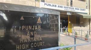 Punjab News : ਵਿਦੇਸ਼ ਭੇਜਣ ਦੇ ਨਾਂ ’ਤੇ ਠੱਗੀ ਦੇ ਮੁਲਜ਼ਮ ਦਾ ਸੱਚ ਹੁਣ ਪੰਜ ਅਖ਼ਬਾਰਾਂ ’ਚ ਛਪੇਗਾ, ਹਾਈ ਕੋਰਟ ਨੇ ਜਾਰੀ ਕੀਤੇ ਸਖ਼ਤ ਨਿਰਦੇਸ਼