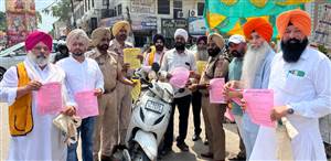 ਲਾਇਨਜ਼ ਕਲੱਬ ਫਰੈਂਡਜ਼ ਬੰਦਗੀ ਨੇ ਪੌਦਿਆਂ ਦਾ ਲੰਗਰ ਲਾਇਆ