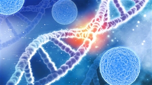 Leukaemia Symptoms : ਸਰੀਰ 'ਚ ਦਿਖਾਈ ਦੇਣ ਵਾਲੇ ਇਨ੍ਹਾਂ ਲੱਛਣਾਂ ਨੂੰ ਨਾ ਕਰੋ ਨਜ਼ਰਅੰਦਾਜ਼, ਲਿਊਕੇਮੀਆ ਦਾ ਹੋ ਸਕਦੈ ਸੰਕੇਤ