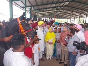 ਭਗਵੰਤ ਸਿੰਘ ਮਾਨ ਦੇ ਮਾਤਾ ਹਰਪਾਲ ਕੌਰ ਨੇ ਪਸ਼ੂ ਧਨ ਮੇਲਾ, ਕਿਸਾਨ ਮੇਲੇ ’ਚ ਕੀਤੀ ਸ਼ਿਰਕਤ