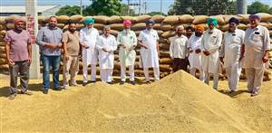ਬਨੂੜ ਮੰਡੀ ’ਚ ਲੱਗੇ ਝੋਨੇ ਦੇ ਲੱਗੇ ਢੇਰ