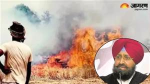 ਪਰਾਲੀ ਸਾੜਨ 'ਤੇ ਜੁਰਮਾਨਾ ਨਹੀਂ, ਕਿਸਾਨਾਂ ਨੂੰ ਮਿਲੇ 100 ਰੁਪਏ ਪ੍ਰਤੀ ਕੁਇੰਟਲ ਪ੍ਰੋਤਸਾਹਨ; ਪ੍ਰਤਾਪ ਸਿੰਘ ਬਾਜਵਾ ਨੇ ਰੱਖੀ ਵੱਡੀ ਮੰਗ