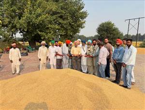 ਸਰਾਵਾਂ ਤੇ ਬਹਿਬਲ ਕਲਾਂ ਦੀਆਂ ਮੰਡੀਆਂ ’ਚ ਝੋਨੇ ਦੀ ਖਰੀਦ ਸ਼ੁਰੂ