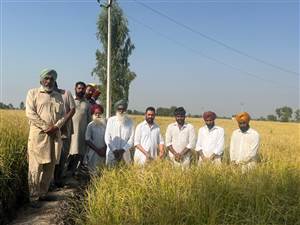 ਗੜਿਆਂ ਨਾਲ ਨੁਕਸਾਨੀ ਫ਼ਸਲ ਦਾ ਹਨੀ ਫੱਤਣਵਾਲਾ ਨੇ ਲਿਆ ਜਾਇਜ਼ਾ