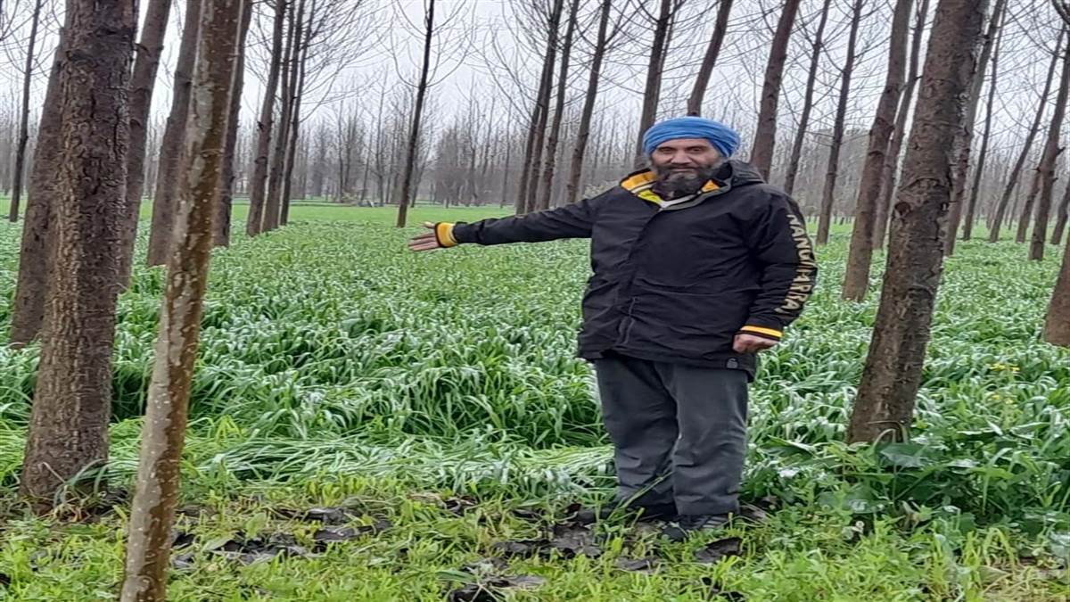 ਭਾਰੀ ਬਾਰਿਸ਼ ਪੈਣ ਕਰ ਕੇ ਕਿਸਾਨਾਂ ਦੇ ਚਿਹਰੇ ਖਿੜੇ