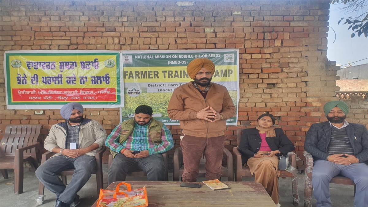 ਤੇਲ ਬੀਜ ਵਾਲੀਆਂ ਫ਼ਸਲਾਂ ਹੇਠ ਰਕਬਾ ਵਧਾਉਣ ਦੀ ਲੋੜ: ਡਾ. ਭੁਪਿੰਦਰ ਸਿੰਘ