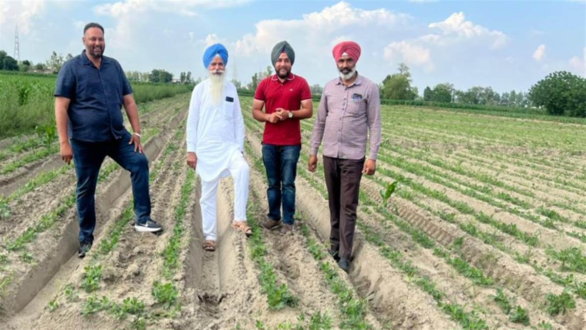 ਮੂੰਗਫਲੀ ਦੀ ਖੇਤੀ ਕਰਨ ਵੱਲ ਕਿਸਾਨਾਂ ਦਾ ਵਧਿਆ ਰੁਝਾਨ