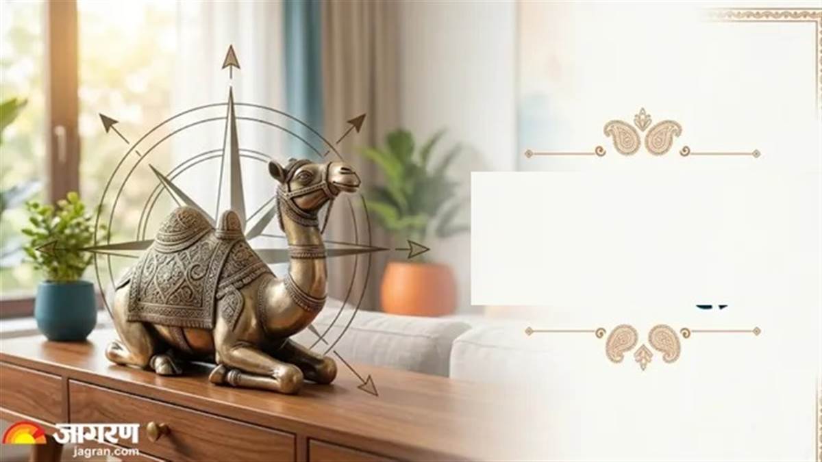 Vastu Tips: ਘਰ ਦੀ ਇਸ ਦਿਸ਼ਾ 'ਚ ਰੱਖੋ ਊਠ ਦੀ ਮੂਰਤੀ, ਕਰੀਅਰ ਤੇ ਵਪਾਰ 'ਚ ਮਿਲੇਗੀ ਬੇਮਿਸਾਲ ਤਰੱਕੀ!