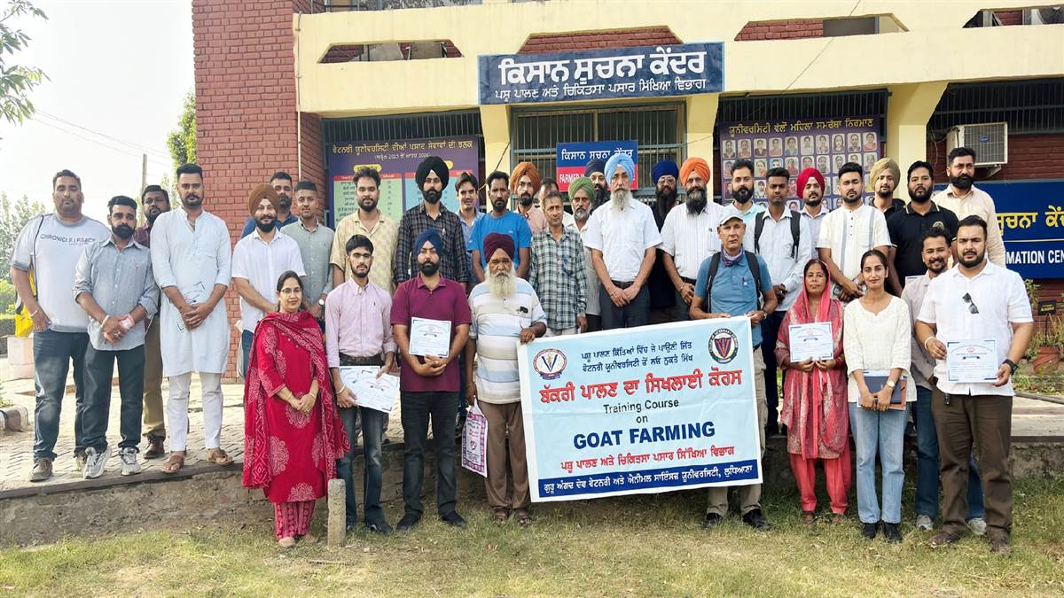 ਵੈਟਰਨਰੀ ਯੂਨੀਵਰਸਿਟੀ ਵਿਖੇ ਬੱਕਰੀ ਤੇ ਭੇਡ ਪਾਲਣ ਦੀ ਦਿੱਤੀ ਸਿਖਲਾਈ