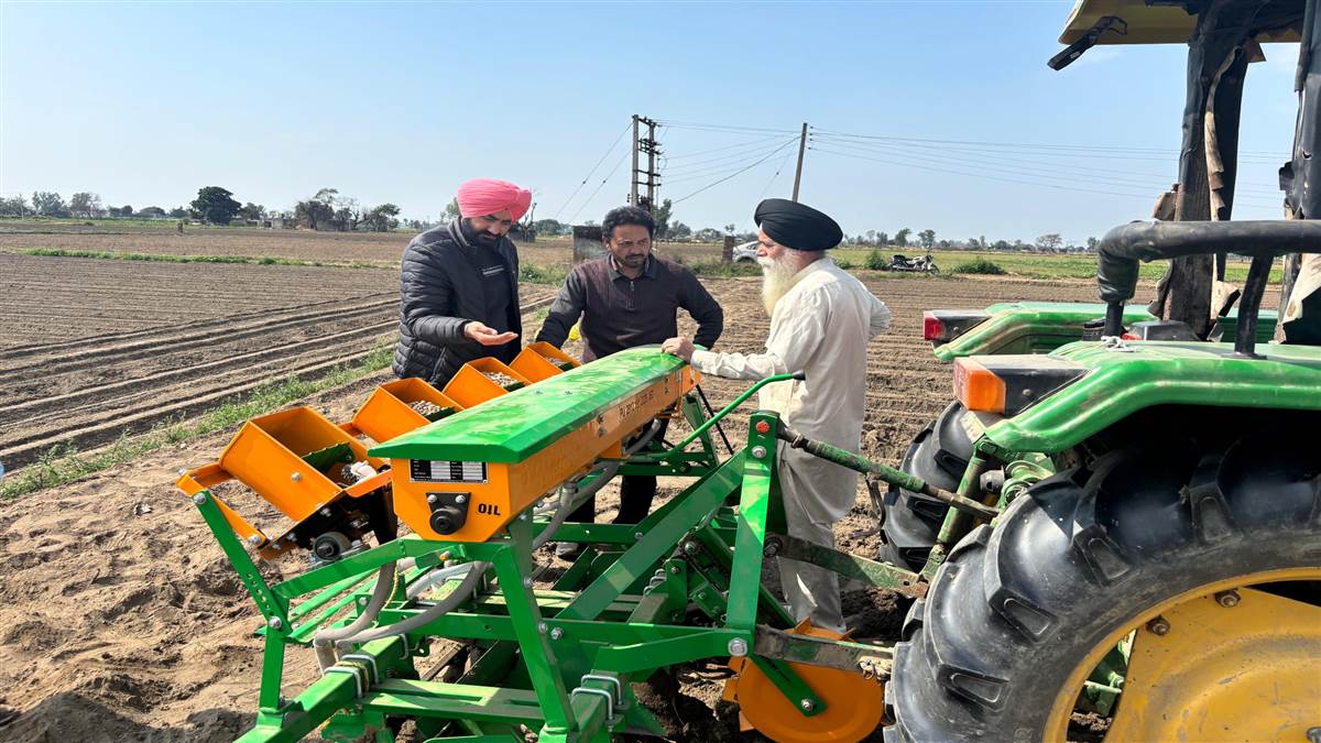 ਰੇਤਲੀ ਧਰਤੀ ’ਚ ਦੱਬਿਆ ਛੋਟਾ ਦਾਣਾ, ਕਿਸਾਨ ਦੀ ਆਰਥਿਕਤਾ ਲਈ ਸੋਨਾ