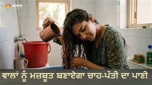 ਮਹਿੰਗੇ ਡਾਈ-ਕੈਮੀਕਲ ਛੱਡੋ! ਚਾਹ ਪੱਤੀ ਨਾਲ ਚਿੱਟੇ ਵਾਲਾਂ ਨੂੰ ਇਸ ਤਰ੍ਹਾਂ ਬਣਾਓ ਕੁਦਰਤੀ ਕਾਲਾ ਤੇ ਮਜ਼ਬੂਤ