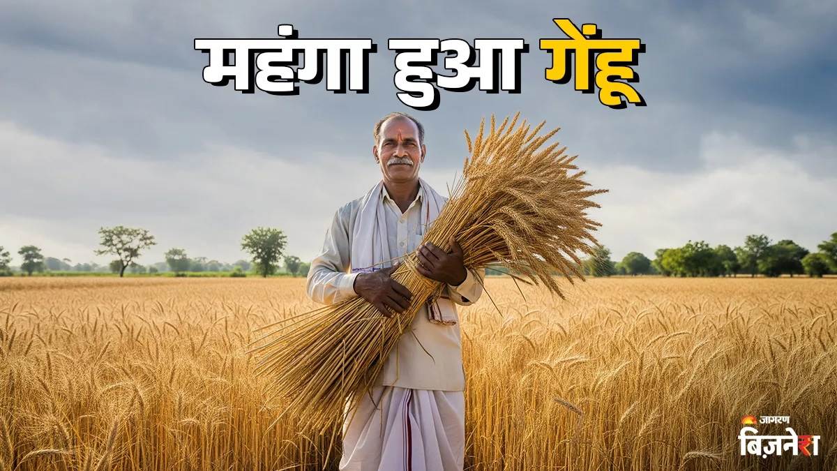 ਕਿਸਾਨਾਂ ਲਈ ਕਣਕ ਵੇਚ ਕੇ ਵੱਡੀ ਕਮਾਈ ਕਰਨ ਦਾ ਸਹੀ ਸਮਾਂ? ਘਰੇਲੂ ਬਾਜ਼ਾਰ 'ਚ ਵਧੀਆਂ ਕੀਮਤਾਂ; ਚੈੱਕ ਕਰੋ ਤਾਜ਼ਾ ਰੇਟ