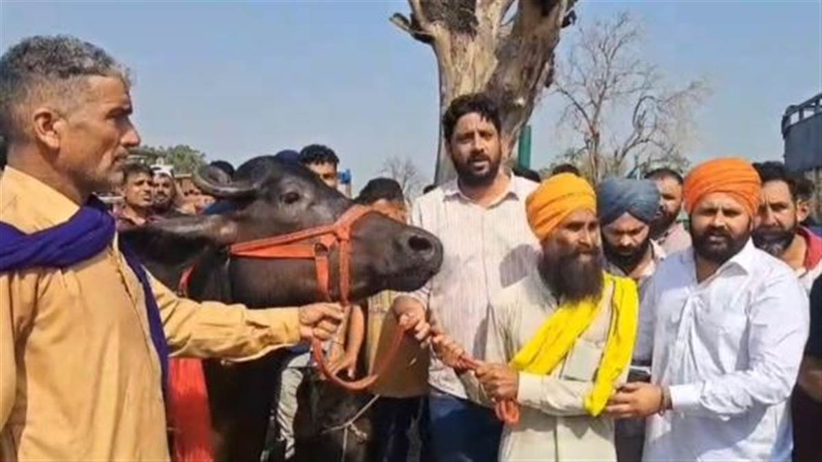 Garry Sandhu Helps Flood
