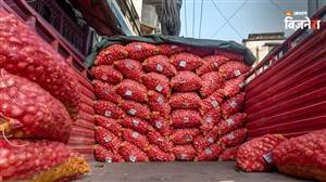 Onion Price Hike : ਸਰਕਾਰ ਦੇ ਯਤਨਾਂ ਦੇ ਬਾਵਜੂਦ ₹60 ਤੋਂ ਪਾਰ ਵਿਕ ਰਿਹਾ ਪਿਆਜ਼, ਜਾਣੋ ਆਪਣੇ ਸ਼ਹਿਰ ਦੇ ਭਾਅ