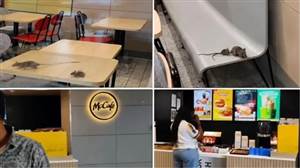 ਖਾਣ-ਪੀਣ ਦੇ ਸ਼ੌਕੀਨਾਂ ਲਈ ਵੱਡਾ ਝਟਕਾ : McDonald's 'ਚ ਚੂਹਿਆਂ ਦਾ ਚੱਲ ਰਿਹਾ ਸੀ 'ਰਾਜ', ਸਿਹਤ ਵਿਭਾਗ ਦੀ ਟੀਮ ਨੇ ਮਾਰਿਆ ਛਾਪਾ