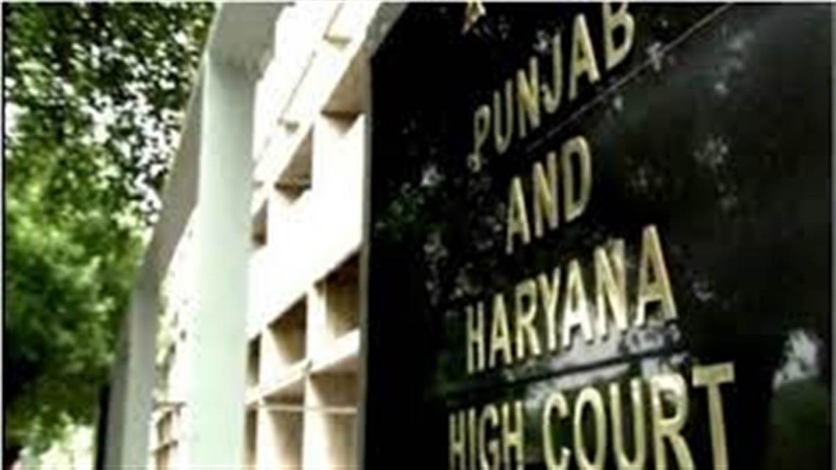 ‘ਨਸ਼ਾ ਹੋਂਦ ਲਈ ਖ਼ਤਰਾ’ ਪਟੀਸ਼ਨ ’ਤੇ ਸੂਬਾ ਸਰਕਾਰ ਤੋਂ High Court ਨੇ ਕੀਤਾ ਜਵਾਬ ਤਲਬ