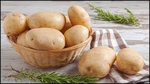 ਹੁਣ ਆਲੂ ਨਹੀਂ ਵਧਾਉਣਗੇ ਸ਼ੂਗਰ ਲੈਵਲ, ਯੂਰਿਕ ਐਸਿਡ ਵੀ ਰਹੇਗਾ ਕੰਟਰੋਲ ਤੇ ਮੋਟਾਪਾ ਘਟਾਉਣ 'ਚ ਮਿਲੇਗੀ ਮਦਦ