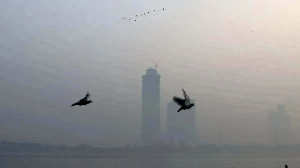 Punjab Weather Update : ਕਈ ਜ਼ਿਲ੍ਹਿਆਂ ’ਚ ਛਾਈ Smog, ਧੁੱਪ ਨਾ ਨਿਕਲਣ ’ਤੇ ਦਿਨ ਦਾ ਡਿੱਗਾ ਤਾਪਮਾਨ