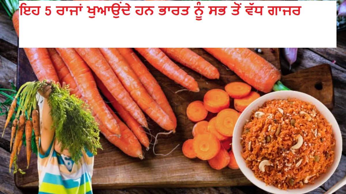 ਇਹ 5 ਸੂਬੇ ਖੁਆਉਂਦੇ ਹਨ ਭਾਰਤ ਨੂੰ ਸਭ ਤੋਂ ਵੱਧ ਗਾਜਰ, ਕੌਣ ਹੈ ਨੰਬਰ 1; ਜਾਣੋ ਕਿੰਨਾ ਹੈ ਉਤਪਾਦਨ?