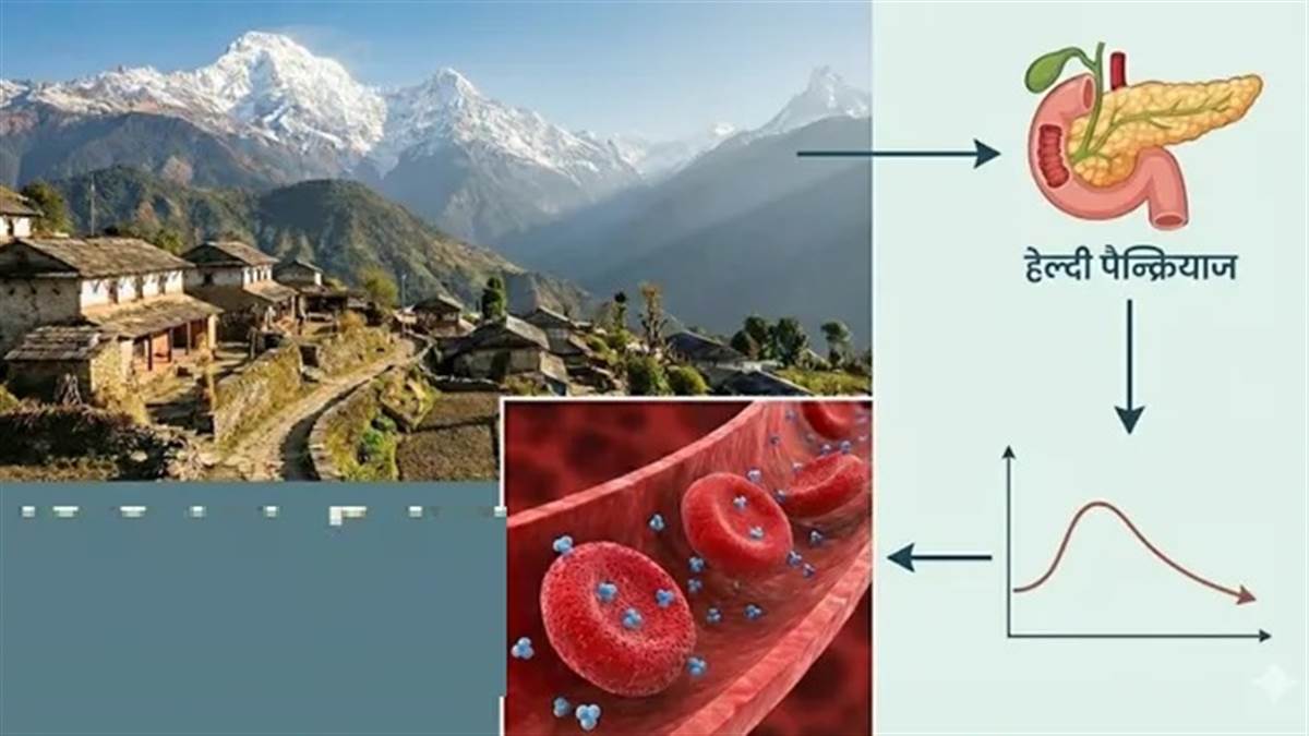 ਕੀ ਉੱਚਾਈ 'ਤੇ ਰਹਿਣ ਨਾਲ ਖ਼ਤਮ ਹੋ ਜਾਂਦੀ ਹੈ ਸ਼ੂਗਰ? ਜਾਣੋ ਕਿਵੇਂ ਪਹਾੜਾਂ ਦੀ ਹਵਾ ਬਲੱਡ ਸ਼ੂਗਰ ਨੂੰ ਕਰਦੀ ਹੈ ਕੰਟਰੋਲ!