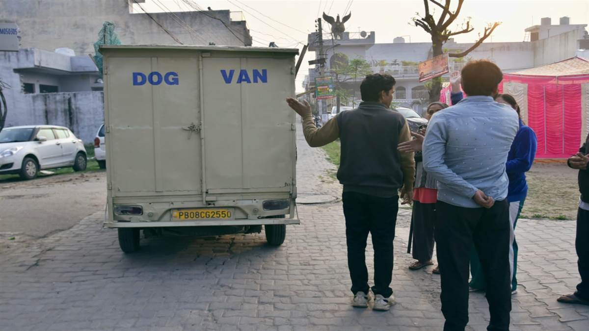 ਅਵਾਰਾ ਕੁੱਤਿਆਂ ਦਾ ਸ਼ੈੱਡ ਬਣਾਉਣ ਲਈ 68 ਲੱਖ ਦਾ ਟੈਂਡਰ ਲਗਾਏਗੀ ਨਿਗਮ