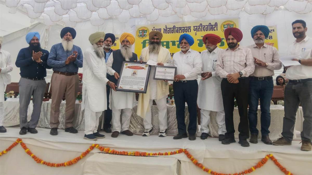 ਤਰਨਤਾਰਨ ਦਾ ਅਗਾਂਹਵਧੂ ਕਿਸਾਨ ਬਠਿੰਡਾ ਕਿਸਾਨ ਮੇਲੇ 'ਤੇ ਸਨਮਾਨਤ